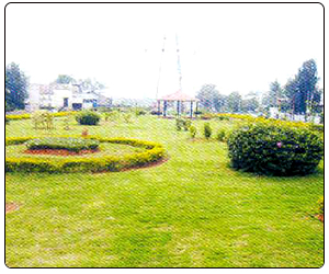 park